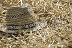 Azienda Agricola Biologica Il Ciabot