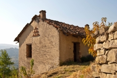 Azienda Agricola Biologica Il Ciabot